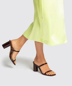 Noles Heels Tortoise