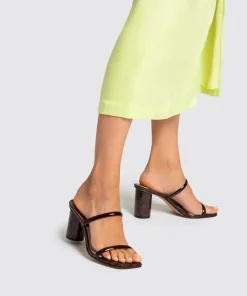 Noles Heels Tortoise